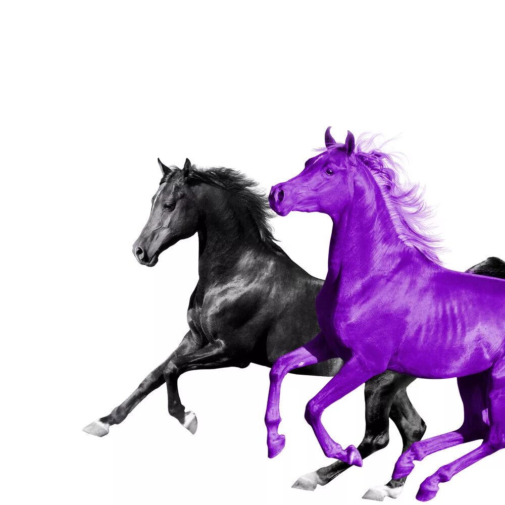 Old town road horses. Old Town Road Lil nas x и RM. БТС old Town Road. Фиолетовая лошадь. Seoul Town Road BTS.