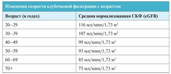 Скорость фильтрации норма. Скф норма у мужчин. скорость клубочковой фильтрации норма. скорость клубочковой фильтрации норма у мужчин.