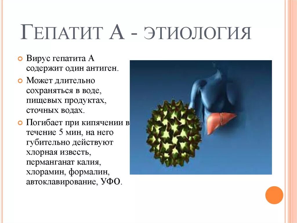 Гепатит б этиология. Вирус гепатита а этиология. Этиология вирусных гепатитов. Гепатит вирусный гепатит этиология.