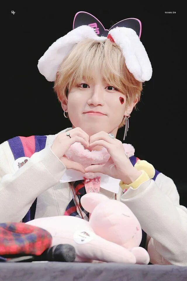 Джисон стрей. Джисон stray kids. Джисон фансайн. Stray kids хан. Джисон stray kids.