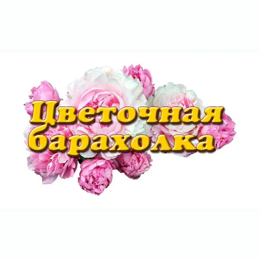 Цветочная барахолка старая. Цветочная барахолка. Цветы барахолка. Надпись цветы для магазина цветов. Цветочная барахолка в Москве.