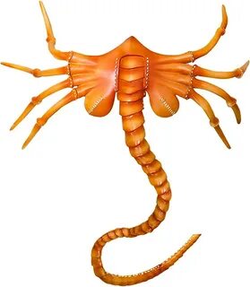 alien facehugger plyš - www.schildroth-fotografie.de.