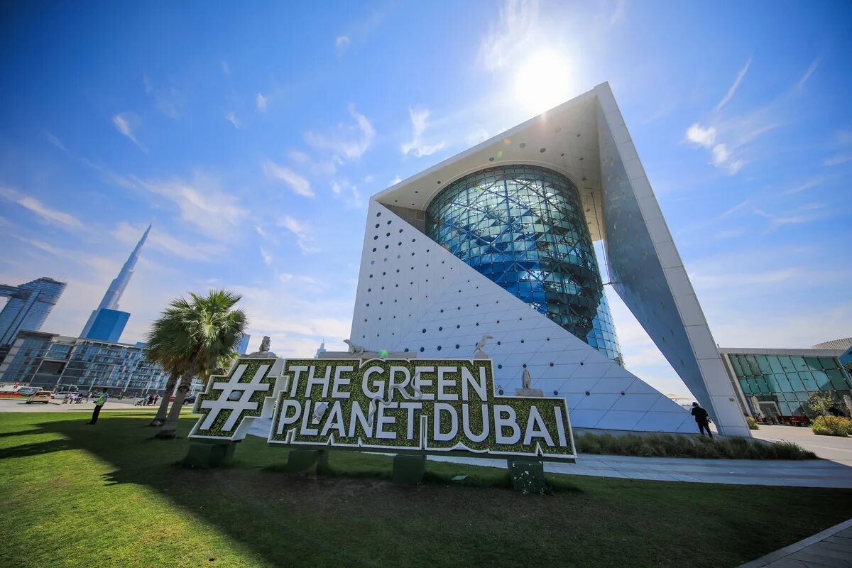Green planet дубай. Зоопарк грин планет дубай. оранжерею green planet. грин планет дубай фото.