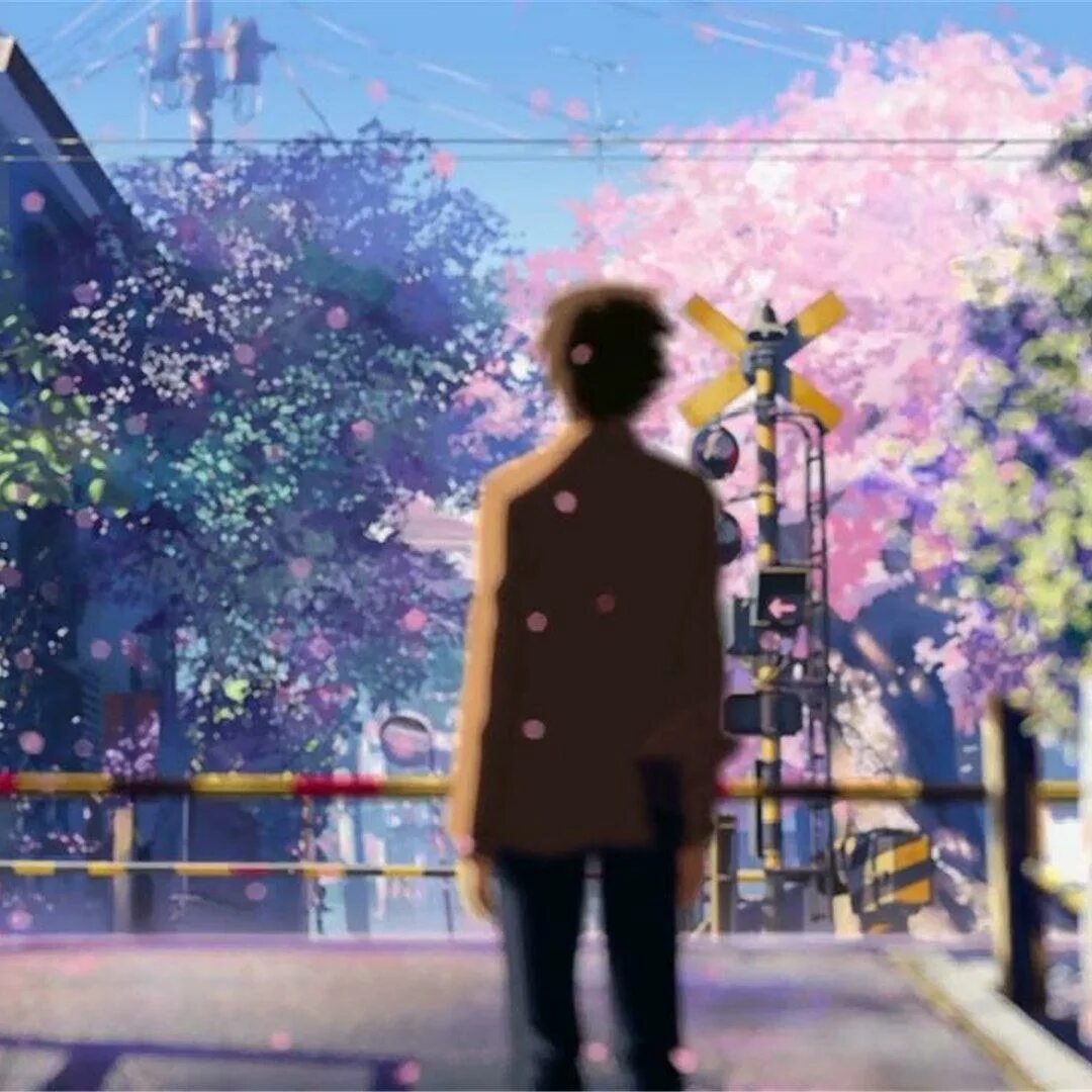 5 сантиметров в секунду (2007). 5 сантиметров в секунду хорошее качество. Byousoku 5 centimeter. Пять сантиметров в секунду аниме. Аниме пять сантиметров.