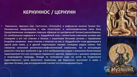 Типы богов