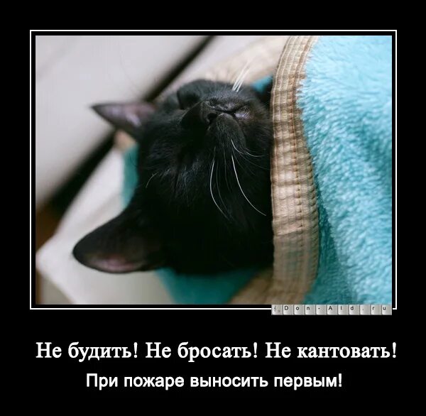 Ни будим. Духовный юмор. Духовный юмор. Духовный юмор. Приколы провоскресенбе.