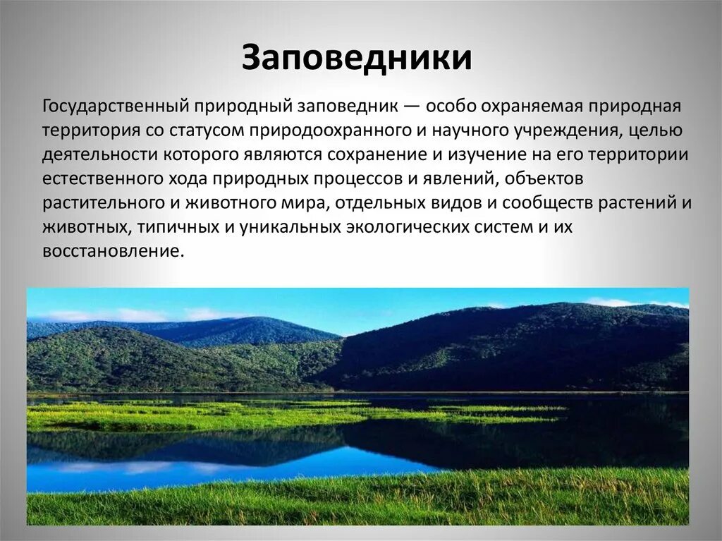 Доклад на тему особо охраняемые территории россии. Заповедники и национальные парки России. Охраняемые природные территории нацпарков и заповедников. Заповедники заказники национальные парки. Сообщение о заповеднике.