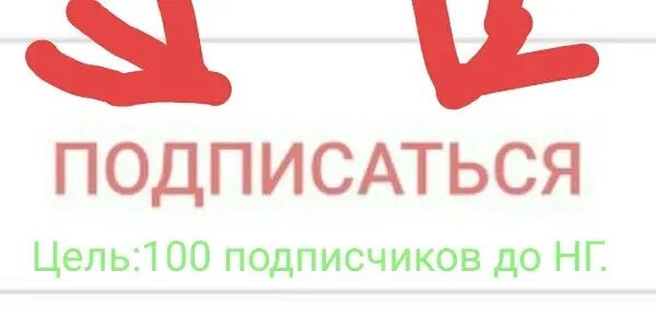 Макси лайф череповец. Макси лайф. Макси лайф пакет. Макси лайф Архангельск.