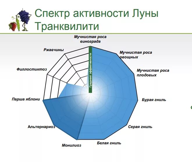 Луна транквилити купить