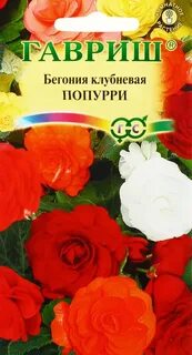 Бегония абгарян