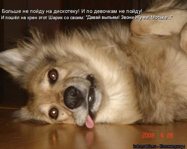 Пошло все цитаты. Пошло все на хрен. Пошел на хрен. Иди на хрен картинки. Пошел на хрен мем.