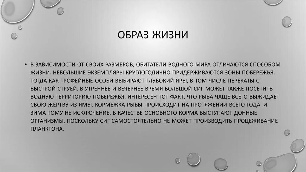 Общие выводы. Общий вывод по Бразилии. Бразилия общий вывод о стране. Общий вывод Бразилии кратко. Можно сделать вывод что основной