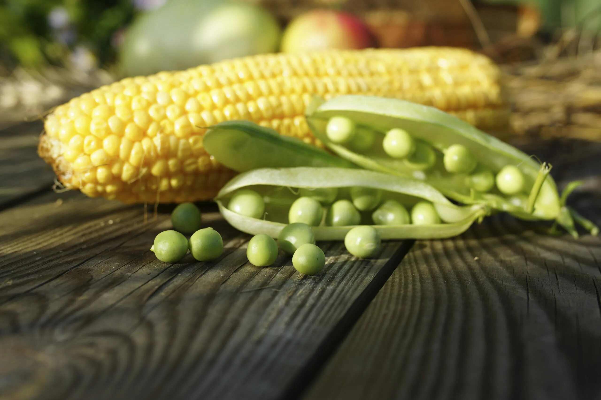 Горох и кукуруза. Яйцо с зеленым горошком. Горох и кукуруза. Ж/б (4). Кукурузный горошек.