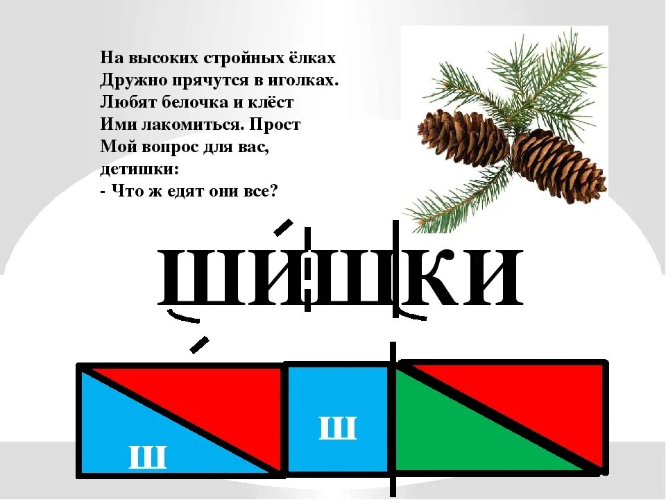 Звуковой анализ слова шишка. Загадка про шишку. Составьте схемы слов 1 класс. Разбор слова шишка. Слова из слова пластилин.