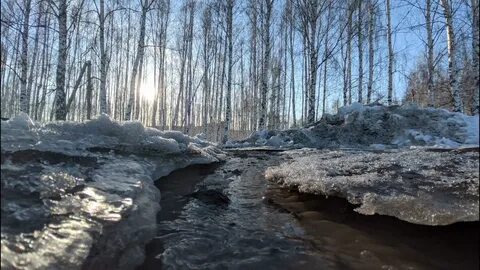 Последствия прохода весенних вод