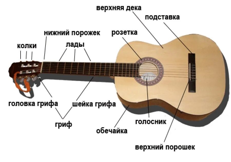 Строение гитары акустической. Структура грифа гитары. Строение гитары классической. Нижний порожек классической гитары гитары. Гитара акустическая названия