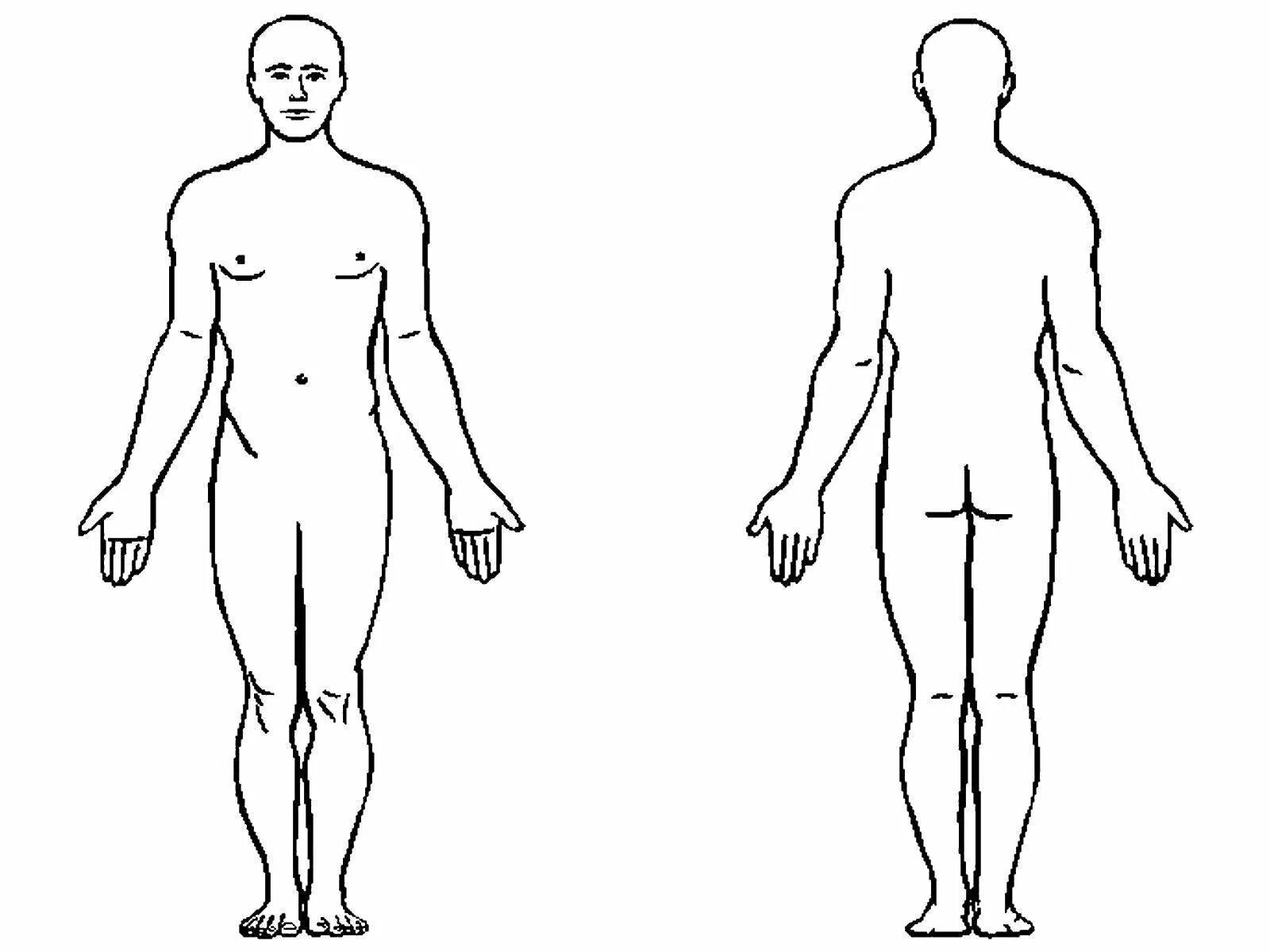 Схема человека. Контур тела человека спереди. Тело человека вид спереди и сзади рисунок. Человек схематично. Макет тела человека.