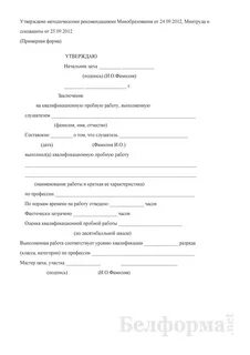 Заключение на квалификационную пробную работу