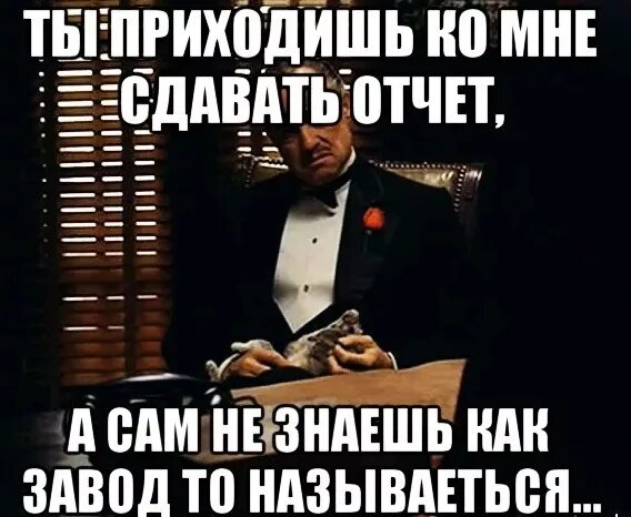 Кто сдать оплата