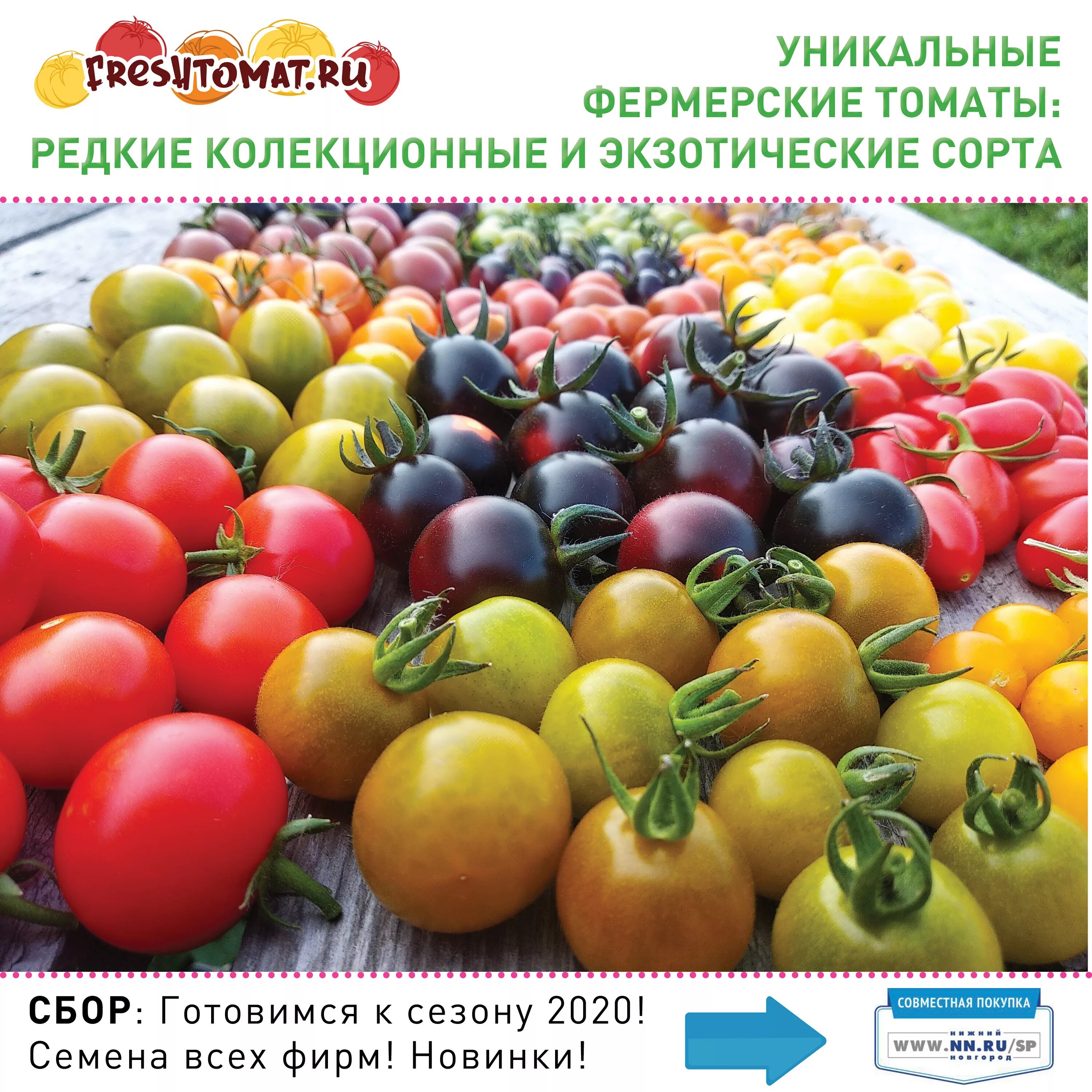 сайт фирмы семко. перцы семко семена. агрофирма партнер семена. семко юниор каталог семян. сайт фирмы семко.