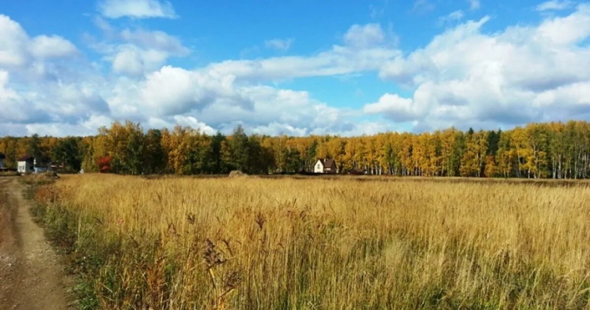 Стоимость сотки земли в московской области. Земля в Подмосковье. Земля в Московской области. Воскресенский район (Московская область). Земля Воскресенский район.