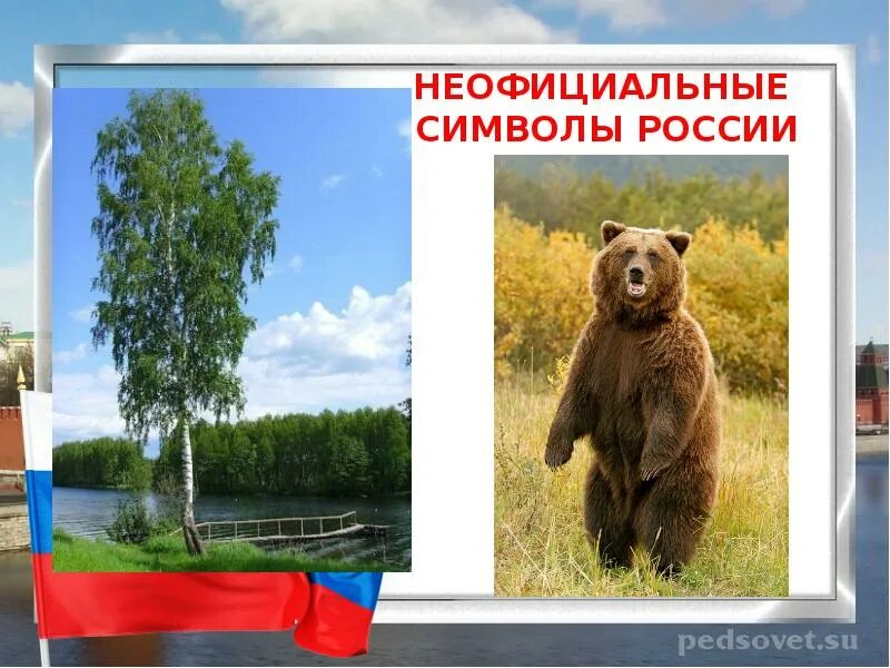 Неофициальный символ россии медведь. Неофициальные символы России. Неофицальные символ России. Неофициальные символы Росс. Медведь символ России.