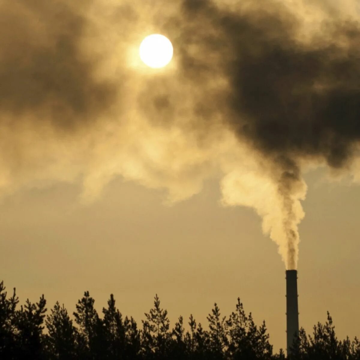 This pollution is gathered in clouds