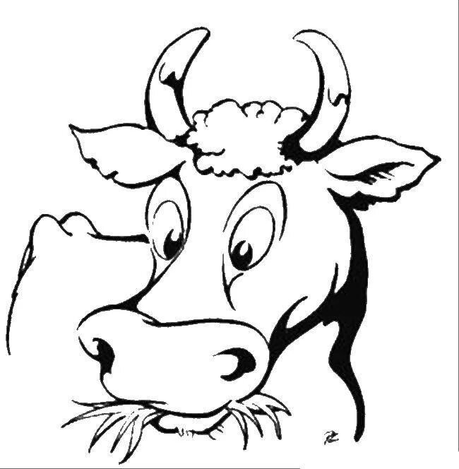 Голова коровки. Раскраска корова. Корова раскраска для детей. Мордочка коровки. Бык раскраска.