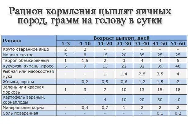 С какого возраста бройлеров. Таблица кормления цыплят несушек. Рацион кормов для цыплят. Таблица кормления суточных цыплят. Кормление цыплят несушек с первых дней рацион.