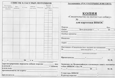 Акт вязки