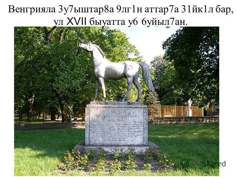 памятник лошади в венгрии. памятник аничков мост в санкт петербурге. в каком городе памятник кони. конь леонардо. памятник в новороссийске на набережной.
