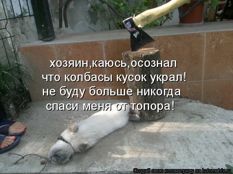 загадки про инструменты для работы. без топора по дрова не ходят крепкую дружбу. крепкую дружбу и топором не разрубишь. без топора по дрова не ходят. загадка про топор.