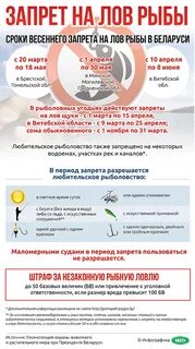 До какого действует запрет на рыбалку