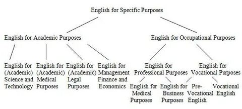 Specific english