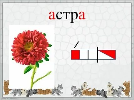 Ананас гласный звук