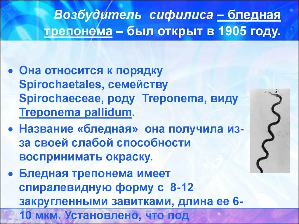 Бледная трепонема treponema pallidum. Бледная трепонема возбудитель сифилиса. Спирохета возбудитель сифилиса. Спирохеты форма. Бледная трепонема спирохетты.