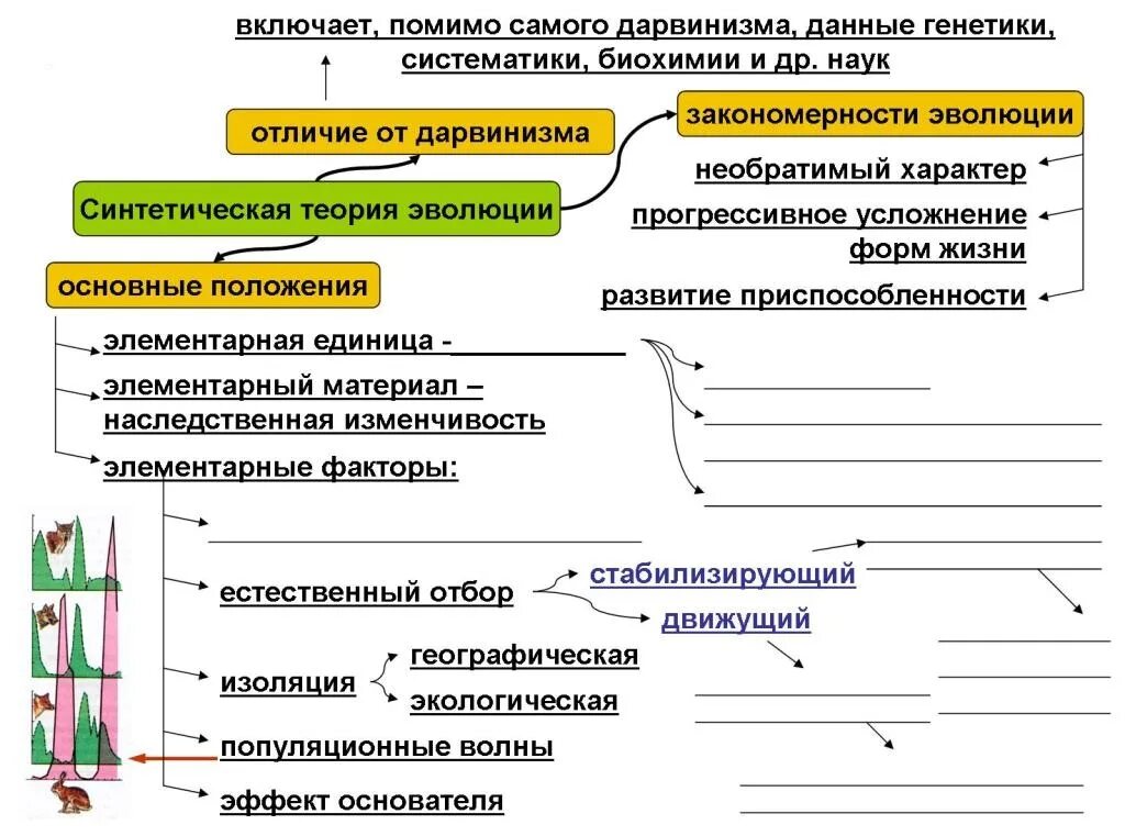 Синтетическая теория эволюции биология 9. Синтетическая теория эволюции. Основные положения теории Дарвина и синтетической теории эволюции. Факторы эволюции синтетической теории эволюции. Эволюционные теории Ламарка и Дарвина.