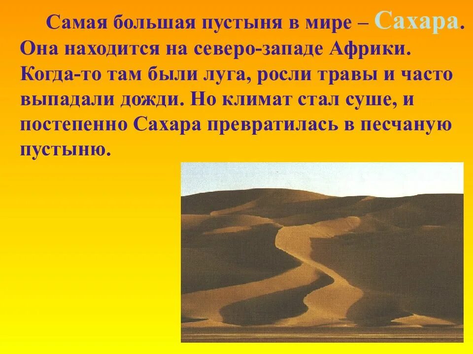 Самая высокая текст. Самая большая пустыня в мире. Доклад о пустыне. Сахара самая большая пустыня в мире. Пустыня презентация.