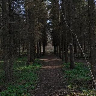 Земли лесопарков