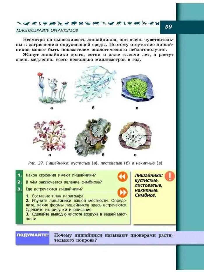 Ландшафт биология 5 класс. Формы лишайников в нашей местности. Формы лишайников 5 класс. Составь план по биологии. План параграфа по биологии.