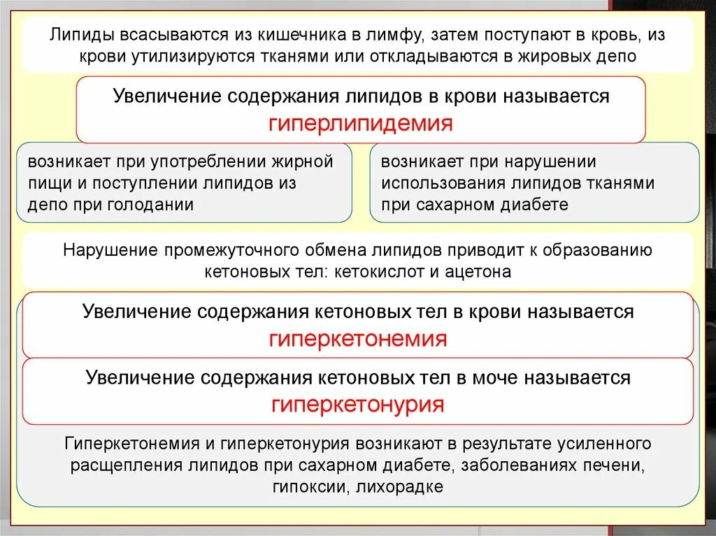 Нарушение совместного использования. Из кишечника в лимфу всасываются:. нарушение обмена фосфолипидов гиперкетонемия. что из кишечника всасывает лимфа. нарушения обмена липидов при сахарном диабете истощение жировых депо.