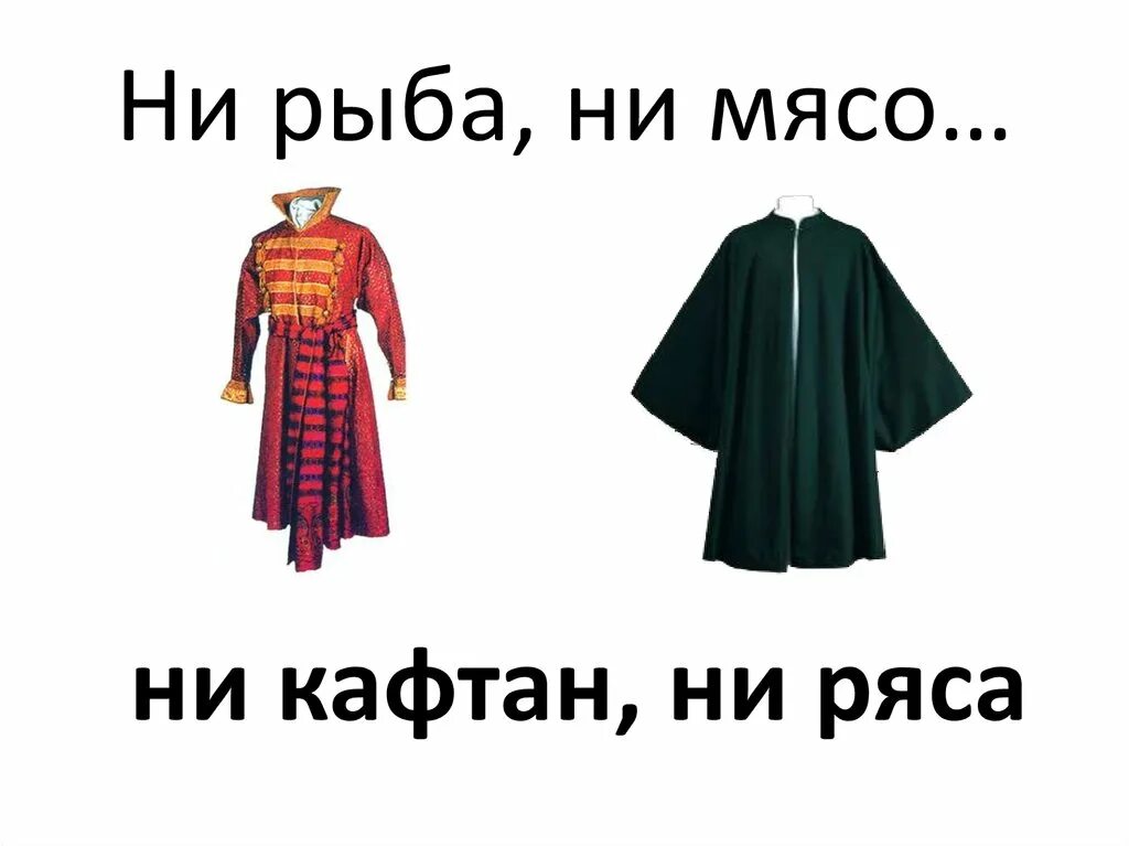 Ни рыба ни мясо предложение. Ни рыба ни мясо ни кафтан ни ряса. Ни кафтан ни ряса. Не рыба не мясо не кафтан не ряса. Ни рыба ни мясо.