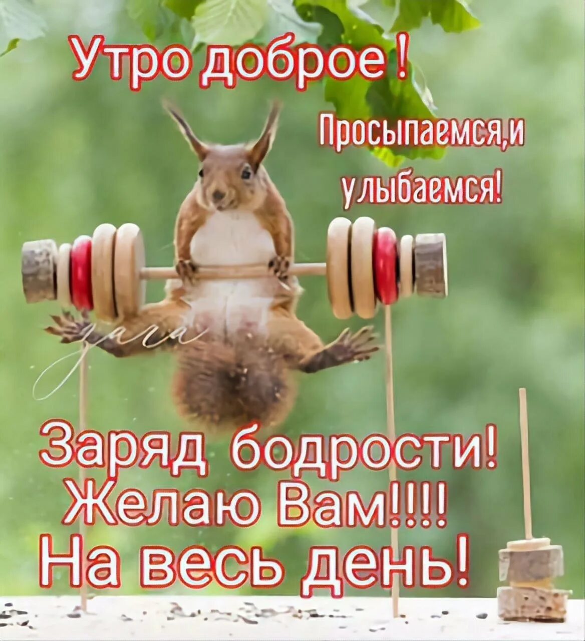 Доброе утро коллеги мотивация. Доброе утро бодрости на весь день. доброе утро заряда бодрости на весь день. мотивирующие пожелания с добрым утром. доброе утро мотивирующие пожелания.