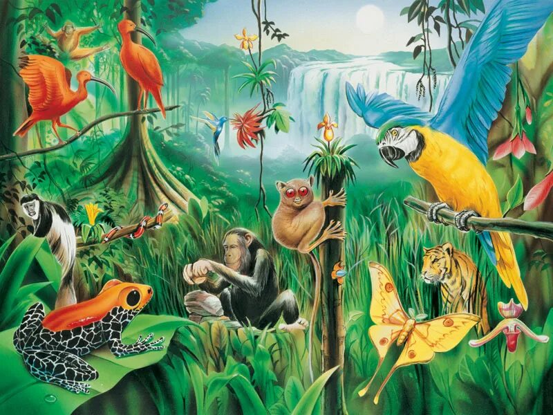 Тропические животные 1 класс. Жители тропического леса. Обитатели тропического леса. Тропический лес живопись. Экосистема тропического леса.