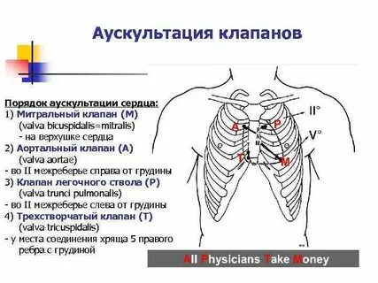 Второе межреберье справа от грудины