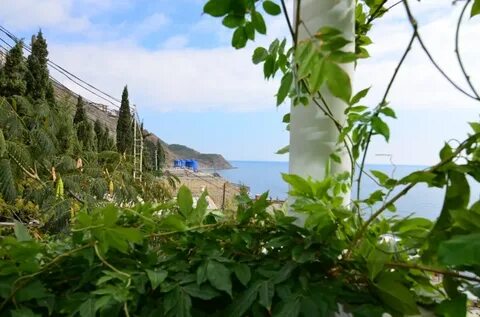 Погода в крыму г алушта