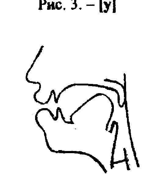 Артикуляционные профили гласных звуков при ринолалии. Артикуляционный уклад гласных звуков. Артикуляционный профиль гласныхзвуов. Артикуляция звука с. Буквам артикуляция