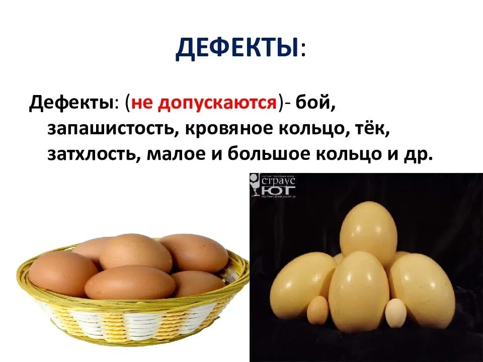 Затхлость