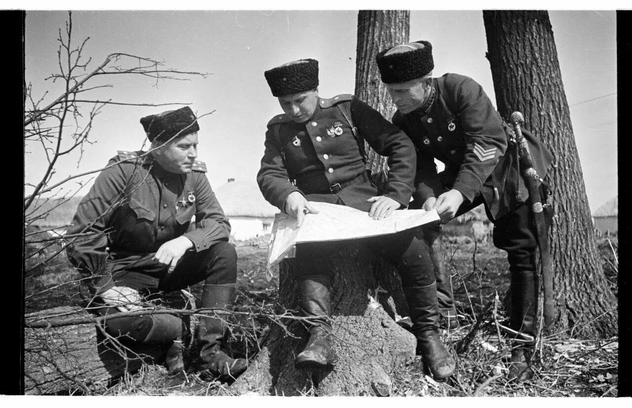 Нквд 1946. Кавалерист ркка 1940. Жуков георгий константинович на коне. Командиры кавалерийская дивизии. 5-й донской казачий кавалерийский корпус.