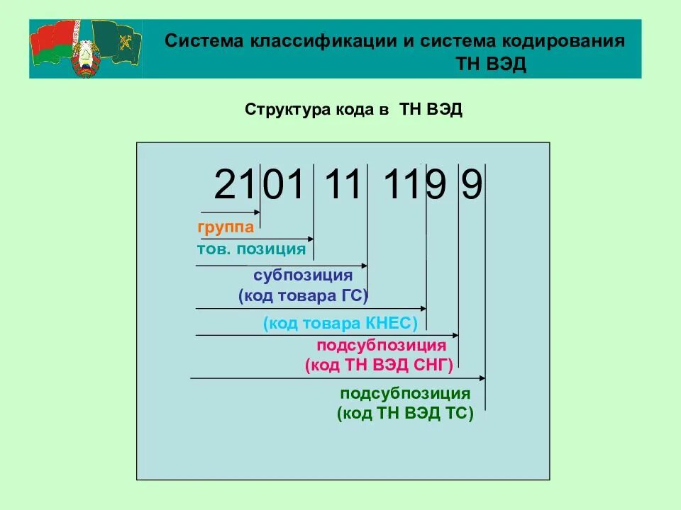 Где указан тн вэд. Товарная позиция тн ВЭД. Код тн ВЭД ЕАЭС структура. Структура кода тн ВЭД. ТНВЭД коды что это.